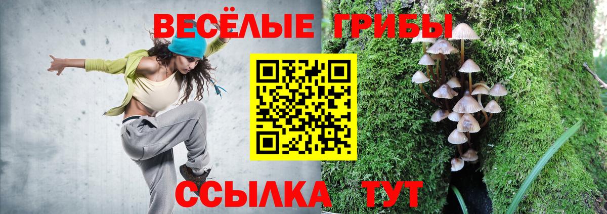 Псилоцибиновые грибы Psilocybe Лыткарино